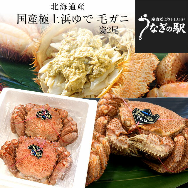 北海道より直送 北海道産 「浜ゆで 毛ガニ」450g前後×2尾入 送料無料　かに カニ 毛ガニ 毛が ...