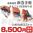 北海道より直送　新巻鮭 姿切り身 大型の鮭 まるごと1尾分 約2.5キロ 送料無料　北海道サケ シャケ 秋鮭 新巻き鮭 3
