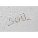 ★ポイント10倍♪【soil/ソイル】 バスマット