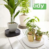 ݥ10ܢtidy/ƥǥۥץ󥿥֥ Plantableԥ㥹դ/ȭȥ졼/տʪ//ǥ˥/Х륳ˡ/٥/ե/ǥ󻨲/ƥȡ