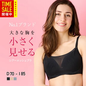 【マラソン限定29％オフ！涼しいシアーメッシュ】胸を小さく見せるブラ　胸が大きくて諦めていた服がすっきり！ 通気性がよく蒸れない 夏用 ブラジャー 涼しい 軽い 通気性 メッシュ 胸元スッキリ 小さく見えるブラ 着痩せブラ 和装ブラ【DEFGHIカップ】さらしブラ