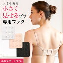 【全品送料無料 メール便対応/代引き不可】小さく見せるブラシリーズ用 3段フック【三恵】