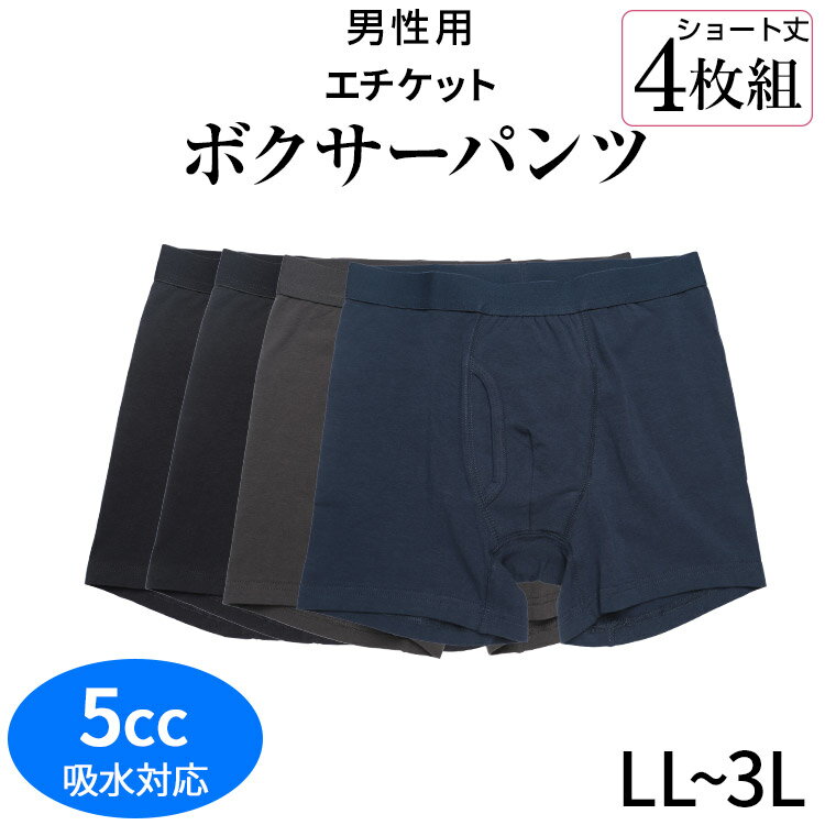 ＜ニシキ＞安心パンツ（婦人用）腰ゴムショーツタイプ　吸収量100CC（Lサイズ）下着 尿もれ 失禁 介護用品 お年寄り 高齢者