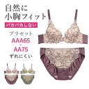 ブラジャー ショーツ セット ブラ＆ショーツ(ブラ ブラセット ブラショー ブラショーツ 盛りブラ) AAA65 AAA70 AAA75 AA65 AA70 AA75 花柄 レース 小さいサイズ プチ胸 プチバスト 小胸 貧乳 バストアップ シンデレラバスト 三恵