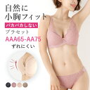 ブラジャー ショーツ セット ブラ＆ショーツ(ブラ ブラセット ブラショー ブラショーツ 盛りブラ)[AAA65 AAA70 AAA75 AA65 AA70 AA75]レース 小さいサイズ プチ胸 プチバスト 小胸 貧乳 バストアップ シンデレラバスト [三恵]