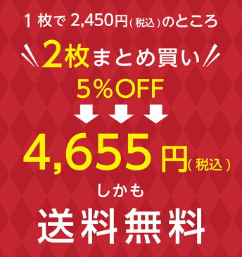 【送料無料】2枚組 ハイウエスト骨盤ガードル 補正下着 骨盤ガードル ハイウエスト 産後 骨盤矯正 ガードル ハイウエスト 加圧 インナーレディース 産後ガードル 骨盤 歪み ガードルショーツ お腹 引き締め お腹引き締め痩せる 矯正 下着