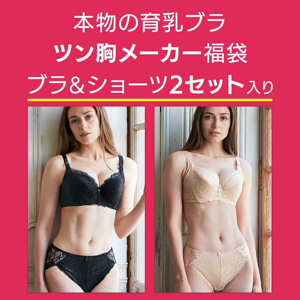 【送料無料】ツン胸メーカーブラジャー＆ショーツ2点セット福袋(育乳ブラ 盛りブラ...