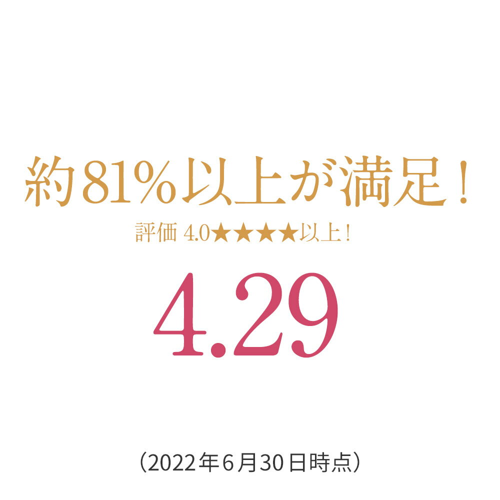 【シームレス×フィット感】Tシャツブラジャー ショーツ セット レディース ブラセ...