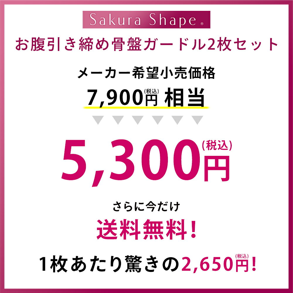 【送料無料】2枚組 ハイウエスト骨盤ガードル 補正下着 産後 骨盤矯正 ガードル ハイウエスト 加圧 インナーレディース 産後ガードル 骨盤 歪み ガードルショーツ お腹 引き締め お腹引き締め痩せる 矯正 下着 ショーツ sanchya-10055120 三軒茶屋通信インナーウエア三恵 サンプル画像2
