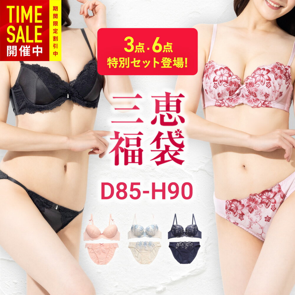 【BLACK FRIDAY限定44%OFF〜】\選べるブラセット★2025福袋/グラマーサイズ対応 ブラジャー ショーツセット レディース 下着 D〜Hカップ ...