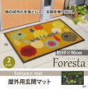 屋外用 外用 玄関マット 59×90cm 薄型 裏 ゴム オレンジ グリーン かわいい ドアマット エントランスマット 新生活