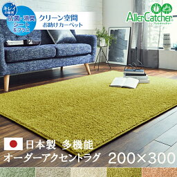 ラグ マット カーペット 約 200×300cm 国産 ホットカーペットカバー 長方形 オーダー 加工 おしゃれ 抗菌 消臭 抗ウイルス 防炎 無地 北欧 新生活 一人暮らし