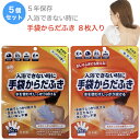 体ふき 手袋 手袋からだふき 8枚入 5個セット 水なし 手袋型ウェットシート 5年保存 洗い流し不要 ノンアルコール ノンパラペン 保湿成分配合 介護 アウトドア 防災 日本製 本田洋行