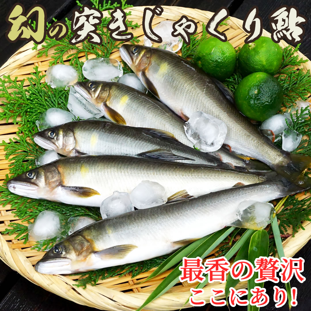 カテゴリトップ：食品 ＞ 魚介類・水産加工品 ＞ その他水産物 ＞ アユ ☆月間優良ショップ2024年3月度受賞☆彡 天然鮎 （5尾） 内容量 70～100g前後サイズx5尾 ※天然のため、サイズや重さは表記より1割程度前後することがありますのでご了承くださいませ。 ※個別の大きさ指定は承れません。 用途 塩焼き 原産地 徳島県海陽町 産 特徴 環境省の調査では、全国で最も水がきれいな川36本の1つとの認定を受けている四国徳島県南部の海部川で育った鮎を伝統漁法で捕獲しました。骨から頭まで堪能いただけます。 熨斗（のし） 熨斗は内のしとして添えさせていただきます。記名も可能ですのでご注文時の備考欄へその旨ご記載ください メッセージカード 文字数制限無しですので、心を込めたメッセージをご注文時の備考欄へご記載ください(無料) ※メッセージ内容がご注文時に記載されていない場合は、メッセージカードは同封いたしません。 調理方法 流水にて半解凍し串にさして塩をまぶし、グリルなどで15分～20分程度焼く お届け後の保管 冷凍でお届けしますので、完全解凍になるとドリップがでます。届いてから調理直前まで冷凍庫へ保管してください。 同梱伝票 ※納品書や金額が表記されているものは一切同梱しておりません。 こんなシーンにも：川魚の鮎は苔を餌としており 川の美しさが 味に直結します。ダムの無い 清流 海部川で育つ 天然鮎を 伝統漁法 の突きじゃくりで 一尾一尾大切に 捕獲し、漁師 自らが 丁寧にパッケージし 冷凍保存 ています。徳島県と高知県の県堺に位置する海陽町では上流に轟九十九滝があり、自慢の水量と水質の環境で育った自慢の鮎です。多くは 友掛け漁 ですが、突きじゃくりは 突いて引きながら 尾を狙って引っ掛ける為、独自の 道具を使います。鮎との駆け引きはスポーツのようでもあり、この環境を大切にしたいと心から願っています。鮎の塩焼き と言えば、料亭か民宿 ホテル などで 提供れる 高級 イメージがありますが、ご家庭 の家族団欒 でも堪能していただきたいと思い、幻の 四国海部川の 新鮮な天然鮎 をお届けします。釣り好きのおじいちゃん お父さん 料理上手なおばあちゃん お母さんに 喜ばれることと思います。七輪やグリルで焼いて すだち ゆず ゆこう など香の物を添えて お召し上がりいただけます。とても 希少なので 古希の祝いにも 相応しいでしょう。魚辺に占うと書く鮎は縁起物としてもお遣いいただけます。 2023年 お買い物マラソン 大晦日 お正月 お節 元旦 お参り 年始 年末 年末年始 年末に食べる まだ間に合う お取り寄せ 宅配 新年 来年 三が日 1月 12月 28日 29日 30日 31日 日時指定 全国配送 おせち おせち料理 お重 重箱 お祝い インスタ映え SNS映え 豪華 贅沢 歳暮 ギフト お祝い返し お年賀 長寿祝い 贈り物 贈る 退職祝い 家族団らん サプライズ お祝い お返し お礼 誕生日プレゼント 記念品 景品 コンペ グルメ プレゼント お爺ちゃん 祖父 祖母 上司 先輩 親戚 友達 実家 義父 義母 家族向け 冷凍 解凍不要 アユ釣り 解禁 禁漁期間 1人 1人前 2人 2人前 3人 3人前 4人 4人前 5人 5人前 6人 6人前 7人 7人前 一人前 一人用 五人前 五人用 三人前 三人用 六人前 六人用 ◆当店では下記のような用途にもお手伝いさせていただいております。 子供のお祝い 出産祝い 内祝い お食い初め 初節句 入園祝い 入学祝い 卒園祝い 卒業祝い 就職祝い 進学祝い 結婚記念 プロポーズ 婚約祝い 結婚祝い 引き出物 プチギフト 誕生日 長寿祝い誕生祝い 還暦祝い 60歳 古希祝い 70歳 喜寿祝い 77歳 傘寿祝い 80歳 米寿祝い 88歳 卒寿祝い 90歳 白寿祝い 99歳 百寿祝い 100歳 出産祝い 銀婚式 25周年 真珠婚式 30周年 珊瑚婚式 35周年 ルビー婚式 40周年 サファイア婚式 45周年 金婚式 50周年 エメラルド婚式 55周年 ダイヤモンド婚式 60周年 プラチナ婚式 70周年 ゴルフ コンペ ホールインワン パーティ 表彰状 参加賞 優勝 トロフィー 盾 楯 退官祝い 進水式 地鎮祭 昇進祝い 定年祝い 退職祝い 退職記念 歓迎会 送迎会 送別会 周年記念 記念品 ノベルティ 粗品 イベント 創立記念 設立記念 お年賀 成人祝い バレンタインデー ホワイトデー 卒業式 卒園式 退職祝い 入学式 入園式 母の日 父の日 お中元 暑中見舞い 残暑見舞い 敬老の日 秋祭り ハロウィン クリスマス お歳暮☆月間優良ショップ2024年3月度受賞☆彡 当店では楽天市場での楽天スーパーSALEやお買い物マラソンなどのイベント時に10％OFF以上や半額50％OFFのタイムセール、ポイント5倍やポイント10倍、更にポイント20倍や割引クーポンをご用意することがあります。また、あす楽対応商品は九州から関東地方まで対応しています。 ～ 購入者さんの感想 ～ ◎関連ワード： ◎関連ワード：