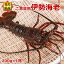 伊勢海老 訳あり(約200g×1尾)ご家庭用 産地直送 宅配便/徳島県海陽町産 長寿祝い 伊勢えび いせえび 天然 伊勢エビ イセエビ 刺身 バーベキュー エビ