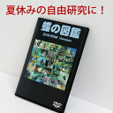 カテゴリトップ：508059：CD・DVD・楽器＞DVD＞趣味・実用・教養＞動物・ペット ☆月間優良ショップ2024年3月度受賞☆彡 蝶の図鑑DVD 特徴 町周辺を見回してみるといろんな種類の蝶々が生息していることが分かります。庭で見られる蝶野原、山間部で見られる蝶を調べてみませんか？夏休みお子様の自由研究にもお薦めです。 メディア DVD VIDEO 1枚 OS DVD-ROMが読める基本ソフト InternetExplorer6以上を推奨 モニタ 1024x768以上の解像度のモニタ HighColor（16ビット）以上 DVDドライブ 8倍速以上を推奨 内容 日本で見られる蝶232種類を生態図鑑形式で記録しました。成虫画像（1100点以上）、卵・幼虫・サナギ・生息環境などの写真（500点以上）を収録、写真の使用については、ご購入して頂いた方が個人もしくは教育で使用する場合はフリーですので自由研究の資料づくりにそのまま使用していただけます。また、素材集としても使用していただけます。写真には、撮影場所や撮影年月日を掲載していますから採集・観察の参考になるかと思います。 ※蝶の図鑑DVD-ROM内の写真は、特に記載がない限り「蝶の図鑑」管理者の著作物です。本製品の一部または、全部を複写、複製、改変することを禁じます。ただし、DVD-ROMに掲載している写真を個人及び教育機関での使用については許可します。 メッセージカード（名刺サイズ） フリーメッセージ（文字数制限なし） 同梱伝票 ※納品書や金額が表記されているものは一切同梱しておりません。 送料 ネコポス：送料無料 [SALE-10]【F】【楽天】/ 蝶の図鑑 DVD 送料無料/1日で出来る 夏休み 自由研究 チョウ 写真画像収録 電子図鑑 小学生 中学生 教材 プレゼント 楽天市場 ◆当店では下記のような用途にもお手伝いさせていただいております。 子供のお祝い 出産祝い 内祝い お食い初め 初節句 入園祝い 入学祝い 卒園祝い 卒業祝い 就職祝い 進学祝い 結婚記念 プロポーズ 婚約祝い 結婚祝い 引き出物 プチギフト 誕生日 長寿祝い誕生祝い 還暦祝い 60歳 古希祝い 70歳 喜寿祝い 77歳 傘寿祝い 80歳 米寿祝い 88歳 卒寿祝い 90歳 白寿祝い 99歳 百寿祝い 100歳 出産祝い 銀婚式 25周年 真珠婚式 30周年 珊瑚婚式 35周年 ルビー婚式 40周年 サファイア婚式 45周年 金婚式 50周年 エメラルド婚式 55周年 ダイヤモンド婚式 60周年 プラチナ婚式 70周年 ゴルフ コンペ ホールインワン パーティ 表彰状 参加賞 優勝 トロフィー 盾 楯 退官祝い 進水式 地鎮祭 昇進祝い 定年祝い 退職祝い 退職記念 歓迎会 送迎会 送別会 周年記念 記念品 ノベルティ 粗品 イベント 創立記念 設立記念 お年賀 成人祝い バレンタインデー ホワイトデー 卒業式 卒園式 退職祝い 入学式 入園式 母の日 父の日 お中元 暑中見舞い 残暑見舞い 敬老の日 秋祭り ハロウィン クリスマス/お歳暮☆月間優良ショップ2024年3月度受賞☆彡 自由研究に「蝶の図鑑DVD-ROM」 ～庭の蝶や幼虫の種類を調べよう～ 日本で見られる蝶232種類の生態を1600点以上の写真で紹介 昆虫の中でも、日本全国の都会から田舎まで目にする一番身近で接しやすい昆虫が蝶です 一番身近な存在なのに触れることの出来ない蝶を手に取るように触れることの出来る図鑑が「蝶の図鑑」です アゲハチョウ科「キアゲハ」 日本の国蝶「オオムラサキ」 特徴 ・DVDから直接実行できるのでインストールの必要がありません ・HTML形式なのでMacやLinuxでも動作します ・作者に直接メールで問い合わせが出来ます裏情報なども聞くことが出来ます ・最新のデータを収録書籍の図鑑はデータが古いのですが、「蝶の図鑑DVD-ROM版」は、随時アップデートして最新のデータが入っています ・撮影時の情報をJPEGファイルに埋め込んであります ・写真には著作権表示は、入れてありません ・成虫を科毎にスライドショーがご覧いただけます ・一部の蝶について動画をご覧いただけます 幼虫も多数収録 当店では楽天市場での楽天スーパーSALEやお買い物マラソンなどのイベント時に10％OFF以上や半額50％OFFのタイムセール、ポイント5倍やポイント10倍、更にポイント20倍や割引クーポンをご用意することがあります。また、あす楽対応商品は九州から関東地方まで対応しています。 ～ 購入者さんの感想 ～ ●息子の誕プレに！！ 蝶々取りにハマっている息子の誕プレに購入しました。予定日より遅れたんですが、担当の方が、発送から届くまで、とても密に、ご丁寧にご連絡くださって、届いたお品は、綺麗に梱包してくださっていて、添えられていた直筆のメッセージに、とても優しさを感じましたし、本当に気持ちの良いご対応いただけて、嬉しかったです。 またご縁がございましたら、是非どうぞ宜しくお願い致しますっm(__)m(*^^*) ◎関連ワード：