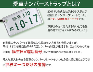 特許ナンバープレート キーホルダー ポスト投函 メール便（ネコポス）送料無料/車好きの 誕生日プレゼント レーザー彫刻 フレーム付 自動車ナンバーキーホルダー スマートフォン ストラップ アクセサリー 遅れてごめんね 父の日 ギフト プレゼント