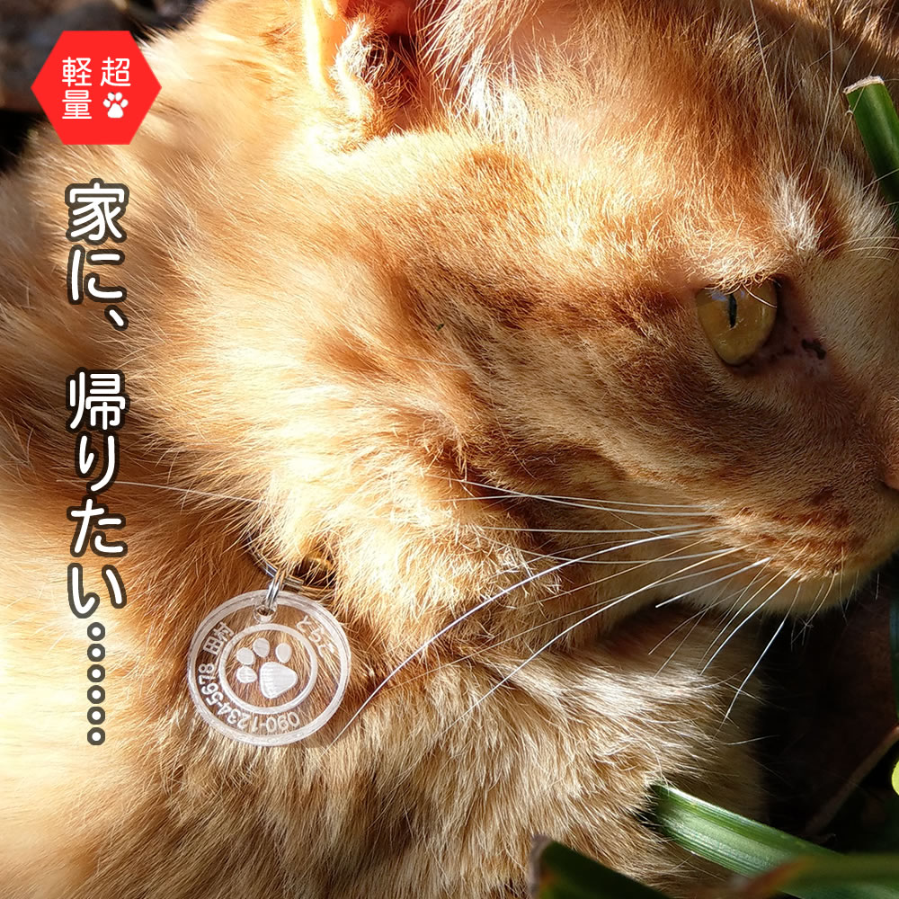 犬猫用 3gの迷子札 超軽量 迷子札 ネームタグ 文字が消えない レーザー彫刻 首輪 名札 刻印 アクリル製 かわいい おしゃれ 犬 猫 ペット 名入れ オーダーメイド 可愛い お洒落 カワイイ イヌ ネコ 極小 1円玉 軽量 ハーネス 犬用 猫用 ネームタグ お買い物マラソンのサムネイル