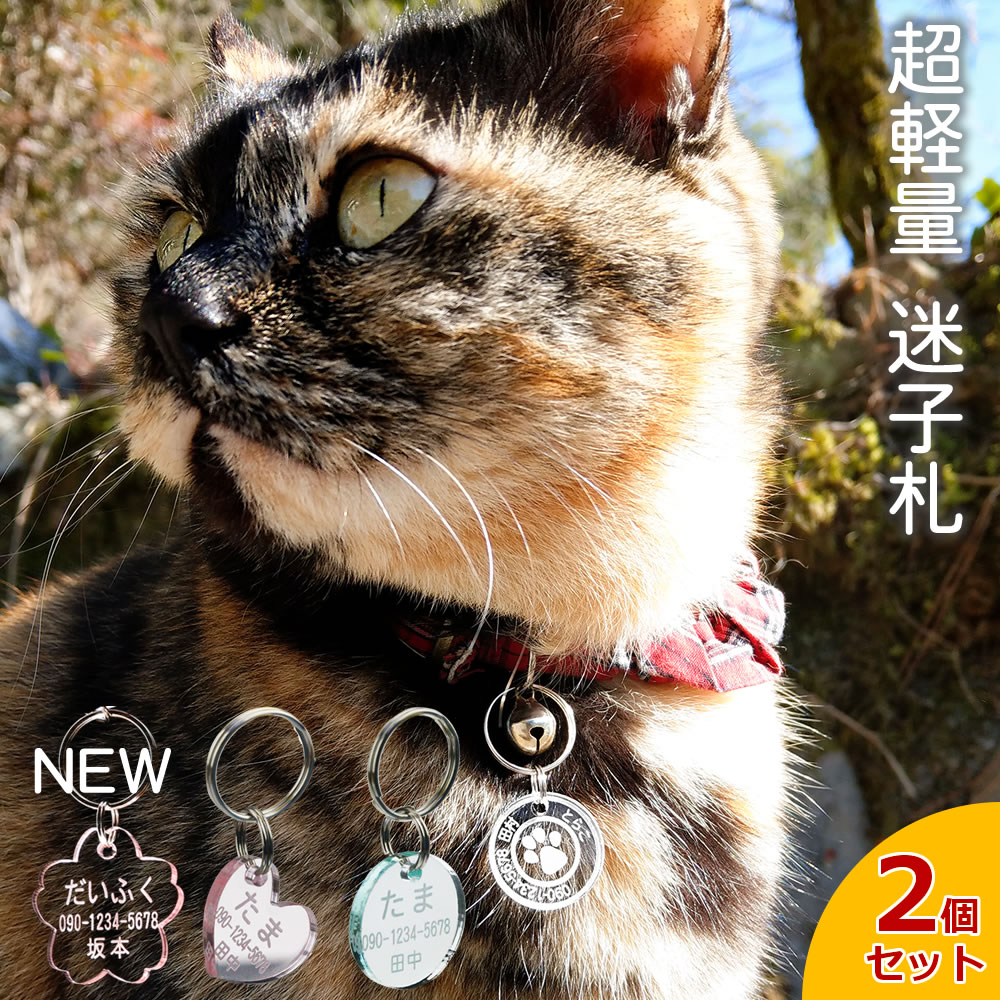 ネームプレート 猫 迷子札 透明アクリル カラー ネームタグ 首輪 pet nameplate nametag 名入れ ミニ 小型 名札 キーホルダー pg3 かわいい 名前入れ かっこいい ちちの日 父の日 プレゼント ギフト 記念品 ラゲッジタグ ラゲージタグ トラベルタグ 製作