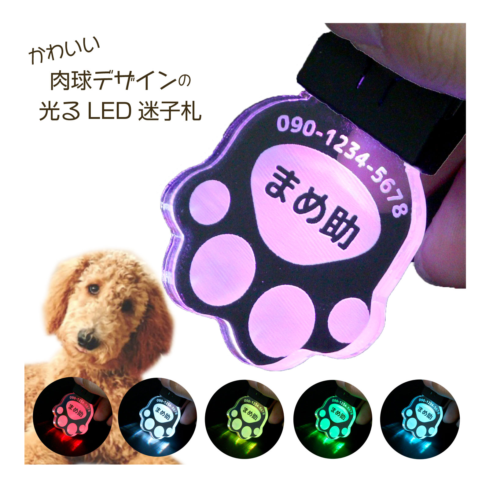 犬用 LEDライト 迷子札 肉球デザイン 名前札 夜のお散歩に 光るネームタグ 文字が消えない レーザー彫刻 犬 猫 ペット 塾通いのお子様にも かわいい迷子札 首輪 名札 刻印 アクリル製 おしゃれ 名入れ オーダーメイド 可愛い 500円玉 軽量 ハーネス/SALE