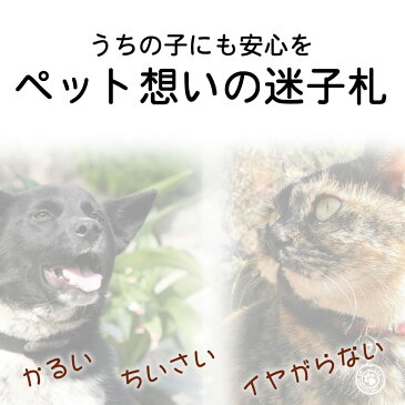 超軽量 迷子札 アクリル製 小型犬猫用 ポスト投函 メール便（ネコポス）送料無料/ペットグッズ 猫 用品 首輪 ハーネス ネームタグ 迷子札