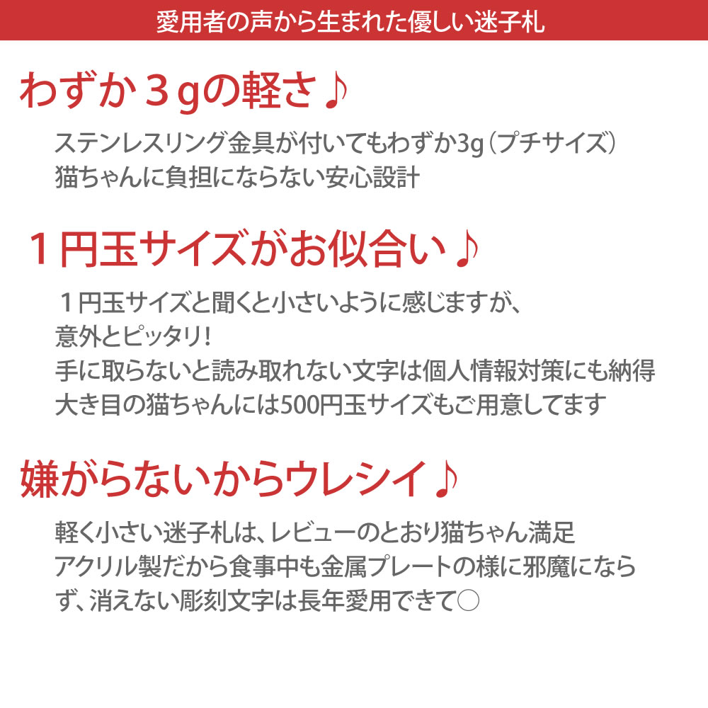 迷子札 超軽量小型犬猫用 アクリル製名札 ポスト投函 メール便（ネコポス）送料無料 あす楽対応/ペットグッズ 猫 用品 首輪 ハーネス ネームタグ 迷子札