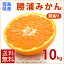 【2018年12月14日発送予約販売】訳あり 勝浦みかん 10kg 産地直送 宅配便 送料無料/徳島県勝浦町産 温州みかん 訳ありグルメ お取り寄せ フルーツ 果物 みかん