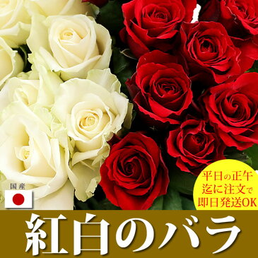 紅白のバラの花束（50cm） 40本（赤白各色20本） 無料ラッピング 産地直送 宅配便 送料込み/徳島県産 薔薇 生花 切花 優勝祝い 卒業 入学 退職祝い 長寿祝い プレゼント 母 お祝い 新築祝いプレゼント