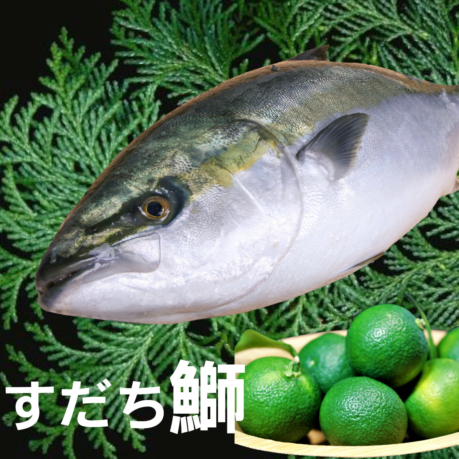  2.5kg1ܡʥ饦ɡ 渵 ֥  ɿ ɿ ɤ   ֥ꤷ ѥå 1 ¢ ...