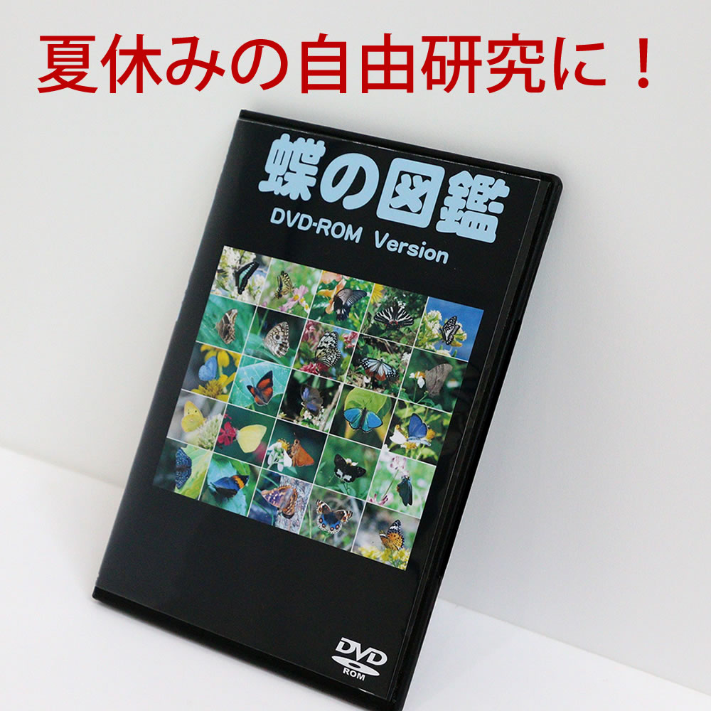 蝶の図鑑DVD 特徴 町周辺を見回してみるといろんな種類の蝶々が生息していることが分かります。庭で見られる蝶野原、山間部で見られる蝶を調べてみませんか？夏休みお子様の自由研究にもお薦めです。 メディア DVD VIDEO 1枚 OS DVD-ROMが読める基本ソフト InternetExplorer6以上を推奨 モニタ 1024x768以上の解像度のモニタ HighColor（16ビット）以上 DVDドライブ 8倍速以上を推奨 内容 日本で見られる蝶232種類を生態図鑑形式で記録しました。成虫画像（1100点以上）、卵・幼虫・サナギ・生息環境などの写真（500点以上）を収録、写真の使用については、ご購入して頂いた方が個人もしくは教育で使用する場合はフリーですので自由研究の資料づくりにそのまま使用していただけます。また、素材集としても使用していただけます。写真には、撮影場所や撮影年月日を掲載していますから採集・観察の参考になるかと思います。 ※蝶の図鑑DVD-ROM内の写真は、特に記載がない限り「蝶の図鑑」管理者の著作物です。本製品の一部または、全部を複写、複製、改変することを禁じます。ただし、DVD-ROMに掲載している写真を個人及び教育機関での使用については許可します。 メッセージカード（名刺サイズ） フリーメッセージ（文字数制限なし） 同梱伝票 ※納品書や金額が表記されているものは一切同梱しておりません。 送料 ネコポス：送料無料[ORG] 自由研究に「蝶の図鑑DVD-ROM」 ～庭の蝶や幼虫の種類を調べよう～ 日本で見られる蝶232種類の生態を1600点以上の写真で紹介 昆虫の中でも、日本全国の都会から田舎まで目にする一番身近で接しやすい昆虫が蝶です 一番身近な存在なのに触れることの出来ない蝶を手に取るように触れることの出来る図鑑が「蝶の図鑑」です アゲハチョウ科「キアゲハ」 日本の国蝶「オオムラサキ」 特徴 ・DVDから直接実行できるのでインストールの必要がありません ・HTML形式なのでMacやLinuxでも動作します ・作者に直接メールで問い合わせが出来ます裏情報なども聞くことが出来ます ・最新のデータを収録書籍の図鑑はデータが古いのですが、「蝶の図鑑DVD-ROM版」は、随時アップデートして最新のデータが入っています ・撮影時の情報をJPEGファイルに埋め込んであります ・写真には著作権表示は、入れてありません ・成虫を科毎にスライドショーがご覧いただけます ・一部の蝶について動画をご覧いただけます 幼虫も多数収録 お客様の声 ●息子の誕プレに！！ 蝶々取りにハマっている息子の誕プレに購入しました。予定日より遅れたんですが、担当の方が、発送から届くまで、とても密に、ご丁寧にご連絡くださって、届いたお品は、綺麗に梱包してくださっていて、添えられていた直筆のメッセージに、とても優しさを感じましたし、本当に気持ちの良いご対応いただけて、嬉しかったです。 またご縁がございましたら、是非どうぞ宜しくお願い致しますっm(__)m(*^^*)