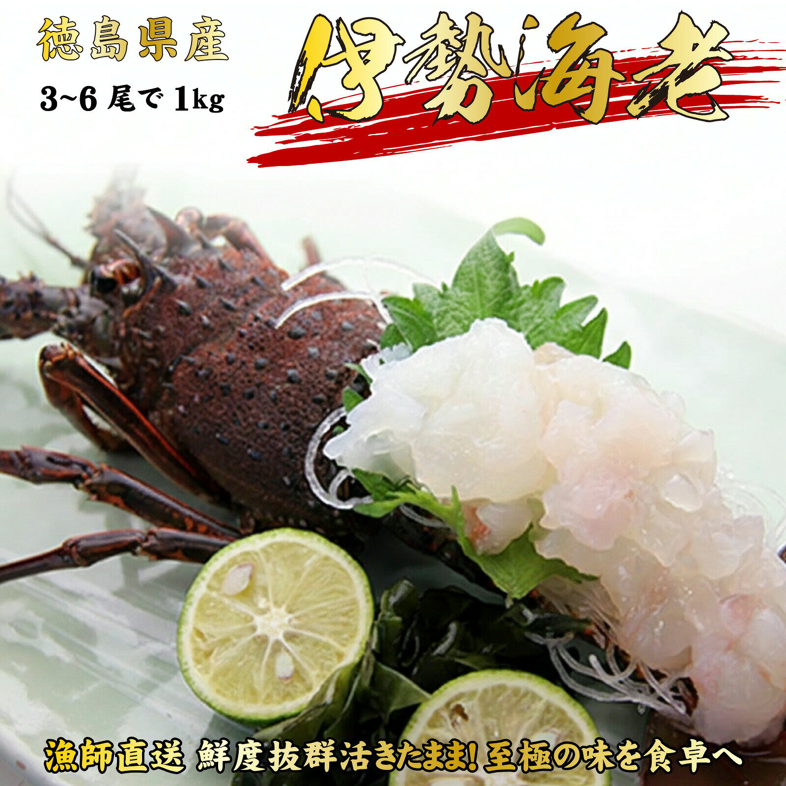 【予約 9月29日お届け】伊勢海老 お刺身（2～5尾で1kg分）生きたまま 水揚げ即日発送するから新鮮！冷凍ではありません 徳島県産 産地直送 贈答 長寿祝い 金婚式 結納 各種お祝い用 ちょっと訳あり 伊勢えび いせえび イセエビ 伊勢エビ 豪華ギフトセット sancyokubin-10000091 名入れ ギフト@あわいち パッケージ画像
