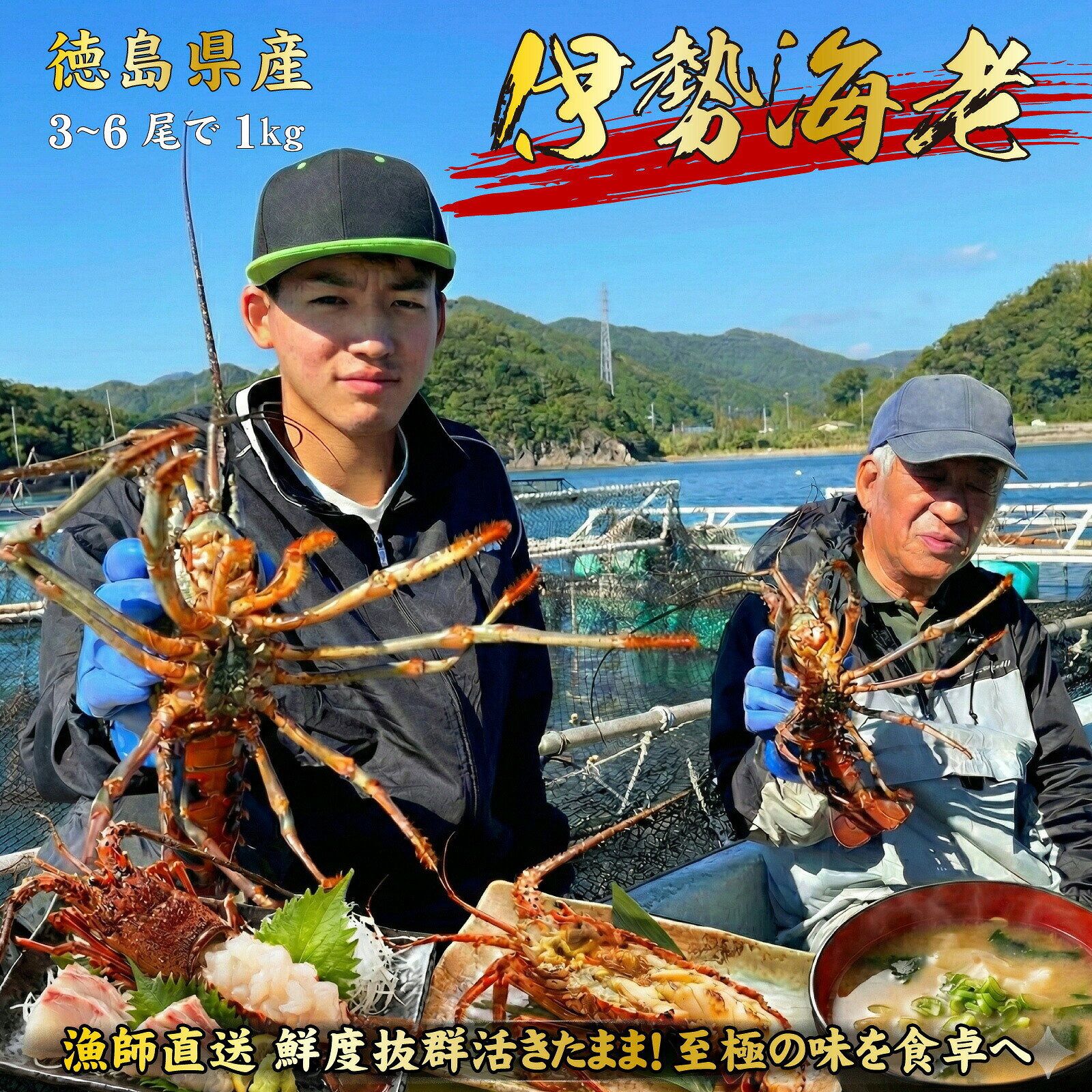 【予約 9月20日お届け】伊勢海老 3～6尾で1kg分 サイズ数量お任せ BBQ 長寿祝い 新築祝い 誕生日 贈答 イベ
