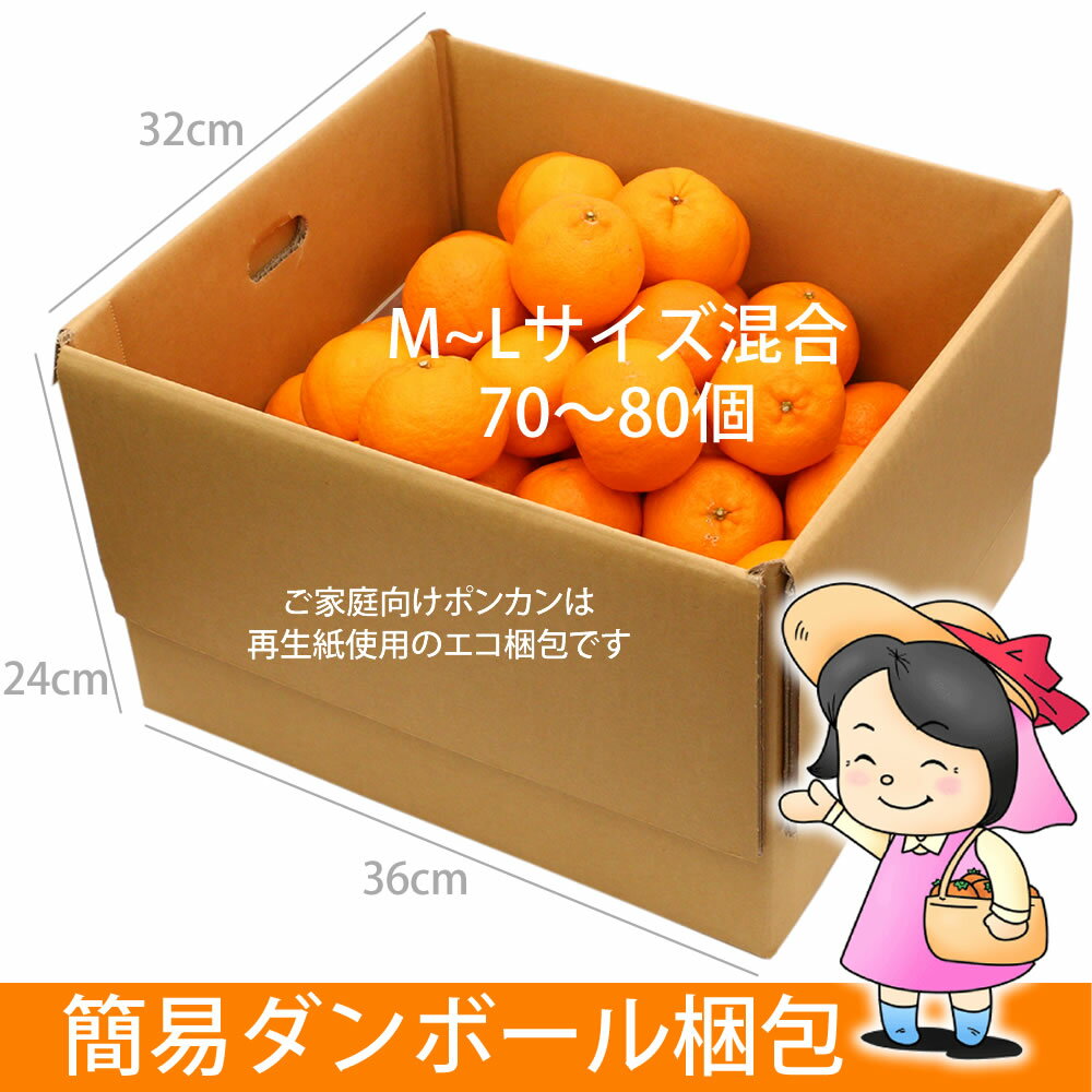 【2019年1月18日発送予約販売】訳あり ポンカン 10kg 高知県産 産地直送 宅配便 送料無料/フルーツ 果物 みかん