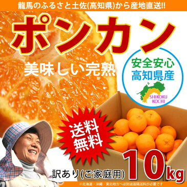 【2019年1月18日発送予約販売】訳あり ポンカン 10kg 高知県産 産地直送 宅配便 送料無料/フルーツ 果物 みかん