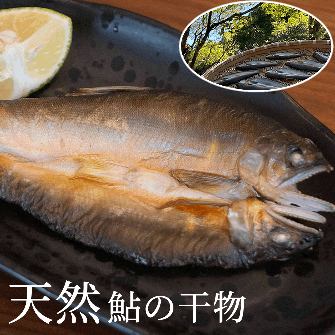 天然鮎 干物 冷凍 6尾 四国徳島県清流海部川産 産地直送 希少 伝統漁法 徳島県産 贈答 お祝い用 長寿祝い 父母 恩師 贈り物 自然一夜干し風 敬老の日 プレゼント