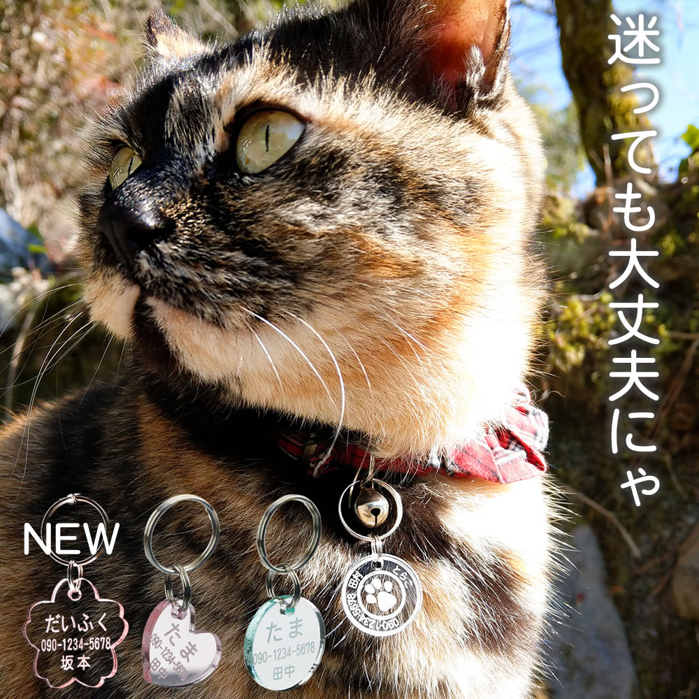猫用 3gの迷子札（同一内容2個セット）超軽量 ネームタグ 文字が消えない 彫刻…