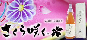 春ときめく・琥珀色からピンクのさくら色に！水で割ると色が変わる希少なプレミアムな麦焼酎福岡県【さくら咲く酒販】水で割ると色が変わる本格麦焼酎焼酎リキュール　『さくら咲く』（さくらさく） 25度 720ml専用化粧箱付