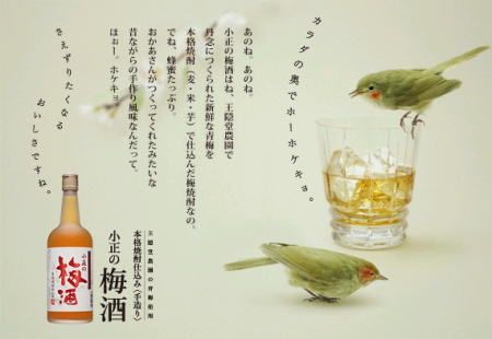 【小正醸造株式会社】　手造り・本格焼酎仕込みの梅酒小正の梅酒　　（こまさ）　14度 1800ml自然な味わいの無添加梅酒。取りたての王隠堂農園の新鮮な青梅と蜂蜜をたっぷりと使った昔ながらの家庭風手作り梅酒です。