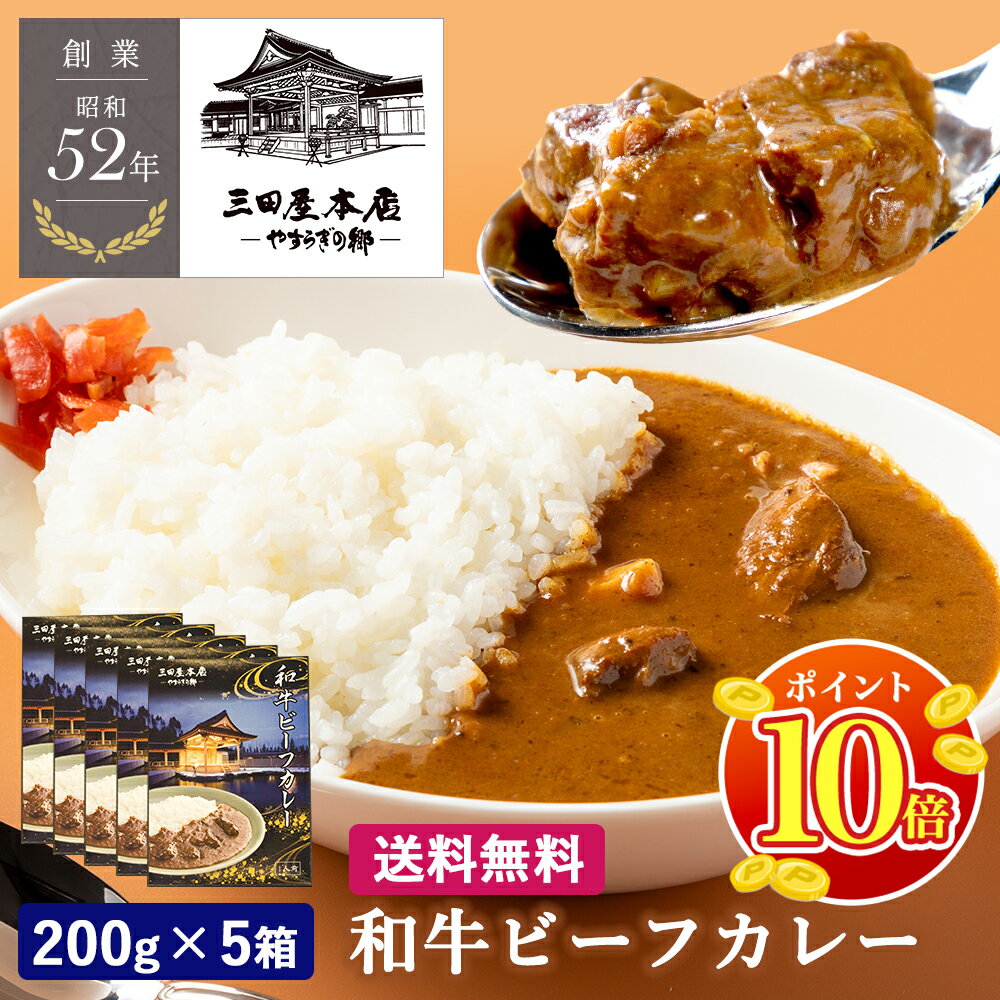 楽天市場】三田 屋 ビーフ カレーの通販