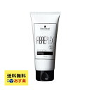 【 Schwarzkopf 】シュワルツコフ ファイバープレックス シャンプーN 100g / シャンプー ヘアケア