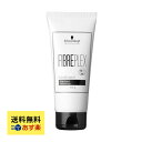 【 Schwarzkopf 】シュワルツコフ ファイバープレックス トリートメントN 100g / シャンプー ヘアケア