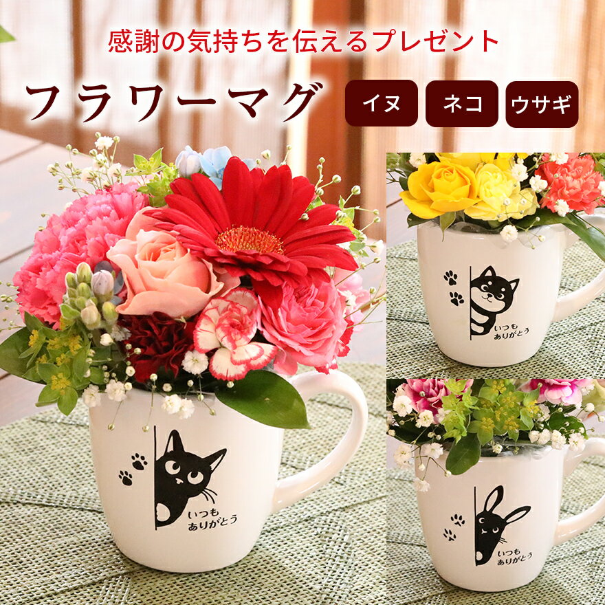 カーネーション あす楽12時 誕生日 花 フラワーマグ 生花 マグカップ セット いぬ ねこ うさぎ 誕生日プレゼント ギフト 花束 アレンジ 動物 4000円 ありがとう 父の日 お供え カーネーション 還暦 結婚 出産 開店 開業 記念日 お祝い お礼 かわいい キャラクター 父親 義母 50代 60代 70代