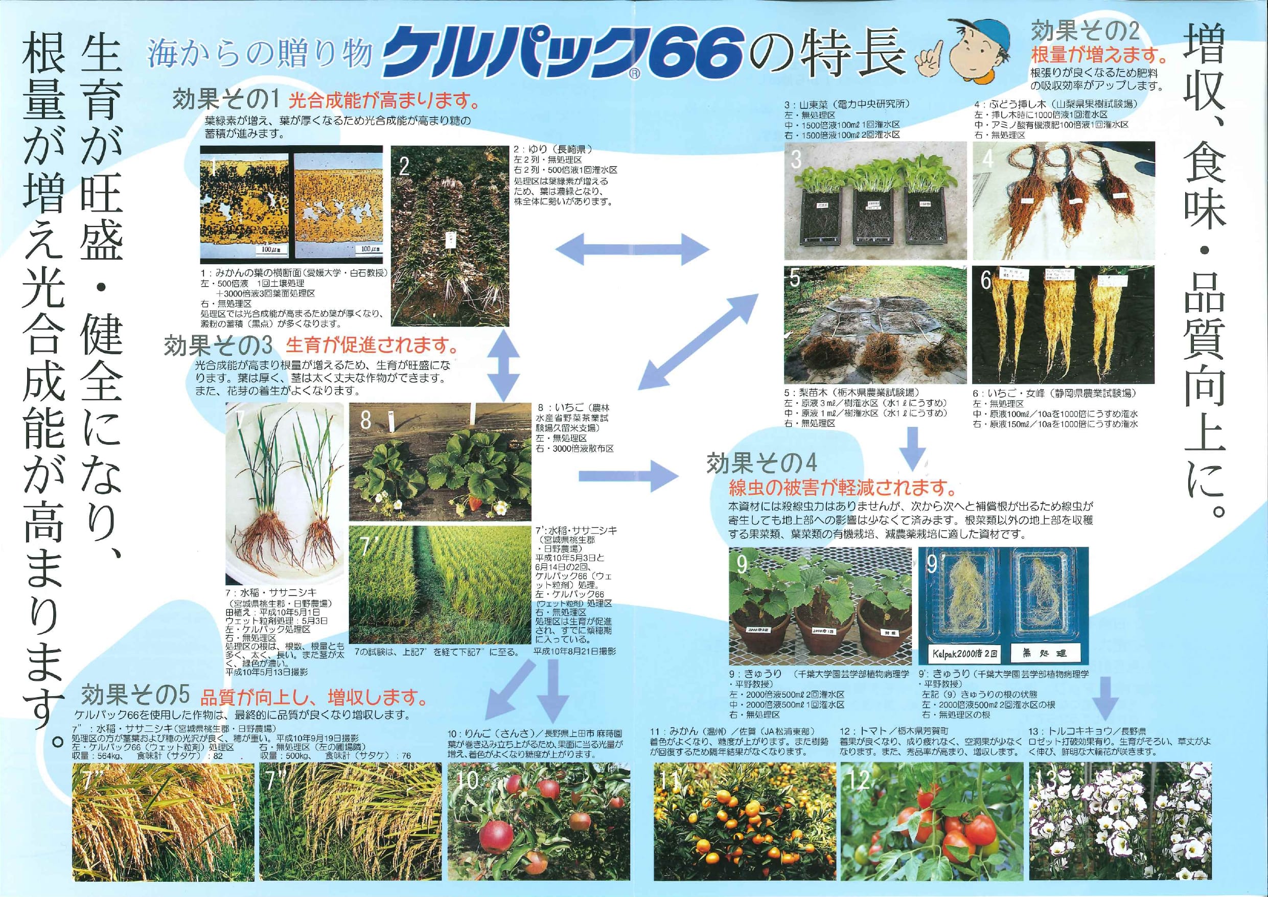 ����ѥå�66 25L