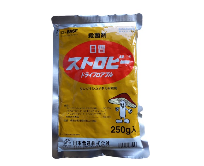 ストロビードライフロアブル 250g