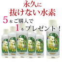 水素が抜けない 水素水 犬 ペット ｜5本購入で1本プレゼント！ ペット用 セット 水素イオン液 ペット水素水 高濃度 水 水素イオン 健康 ネコ 猫 ドリンク ねこ 動物 水素 猫水 イオン 水素水の水素が抜けない 原液 100cc 水素イオン液 犬用 猫用 ペット用品 送料無料