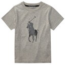 POLO RALPH LAUREN(| t[) rbO|j[vgEBbLOTVc(Gray) y3Tz