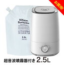 超音波加湿器 空間除菌 次亜塩素酸 バイバイ菌500ppm 専用 噴霧器 ＆2.5L詰め替えのセットウイルス抑制・カビ・細菌にはバイバイ菌 パーフェクトセット＜2.5L＞除菌消臭 次亜塩素酸水