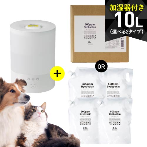 【空間除菌消臭】次亜塩素酸と超音波加湿器セット次亜塩素酸 500ppm バイバイ菌専用の噴霧器と詰め替え用原液10Lセット次亜塩素酸水 除菌消臭 ペット臭対策に 噴霧器【選択OK ：ボックス入り と パウチ入り4袋】