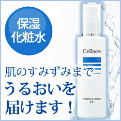 Goニュース55