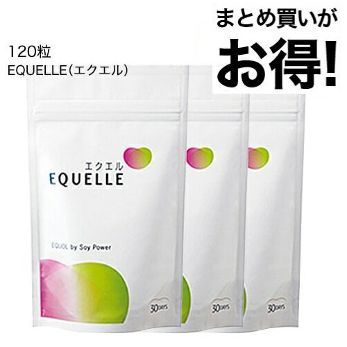 エクエル パウチ 120粒×3袋 大塚製薬【2営業日以内出荷】 エクオール 大豆イソフラボン サプリ 3個セット EQUELLE 【おすすめ】【メール便】